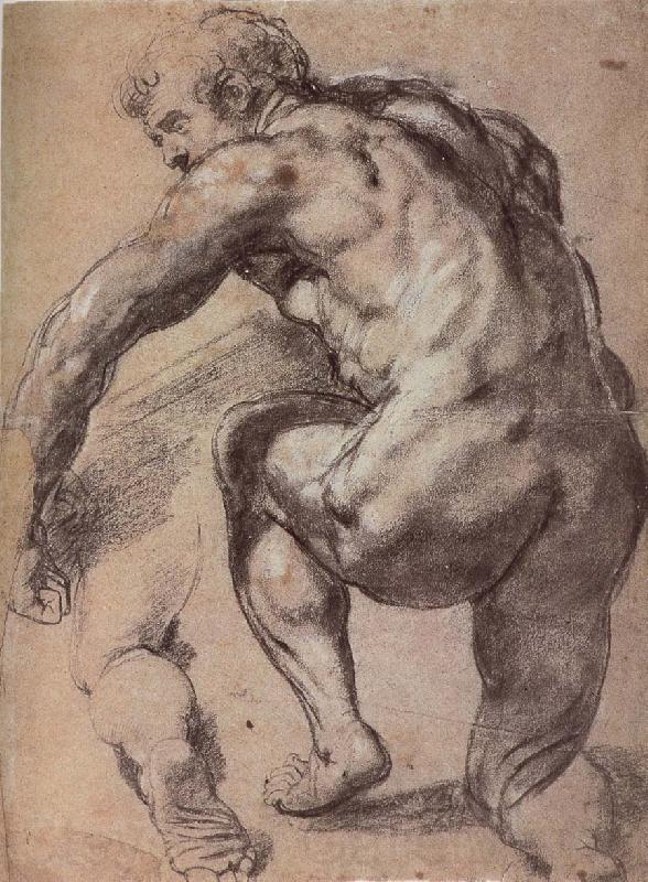 Peter Paul Rubens Portrait of Man Germany oil painting art
